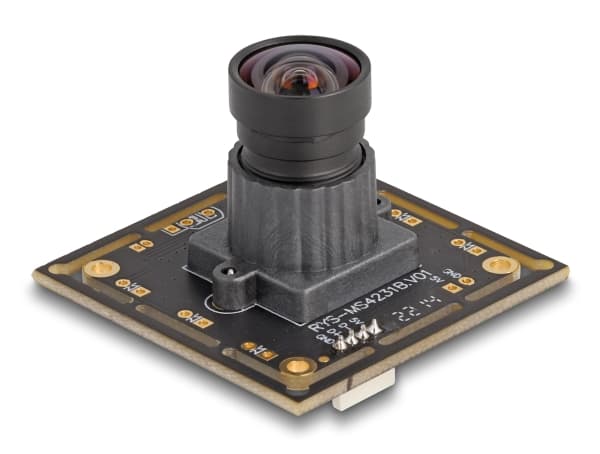 Delock - Övervakningskamera - kort - färg - 2,1 MP - 1920 x 1080 - 1080p - fast lins - USB 2.0 - DC 5 V
