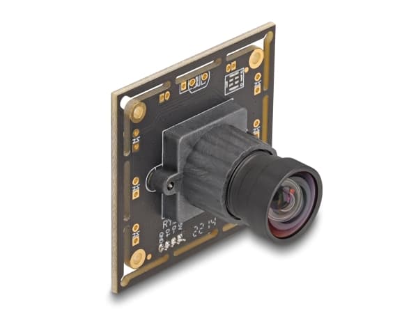 Delock - Övervakningskamera - kort - färg - 2,1 MP - 1920 x 1080 - 1080p - fast lins - USB 2.0 - DC 5 V