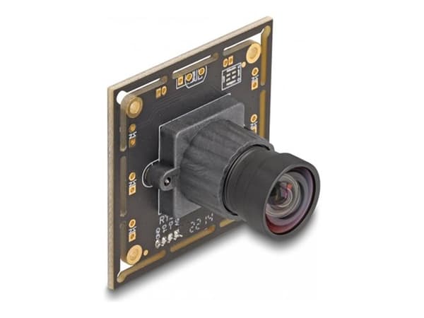Delock - Övervakningskamera - kort - färg - 2,1 MP - 1920 x 1080 - 1080p - fast lins - USB 2.0 - DC 5 V