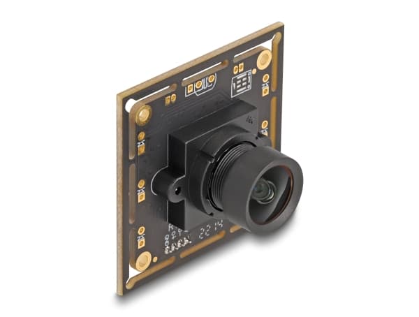 Delock - Övervakningskamera - kort - färg - 2,1 MP - 1920 x 1080 - 1080p - fast lins - USB 2.0 - DC 5 V