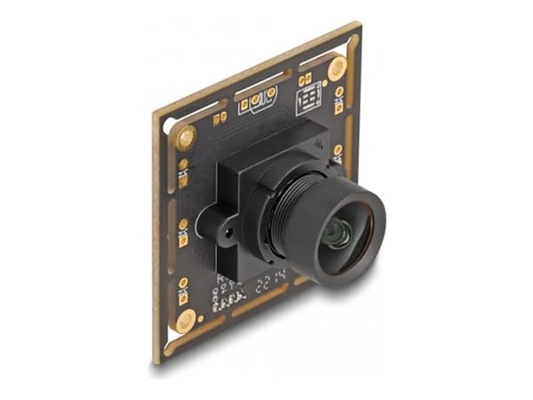 Delock - Övervakningskamera - kort - färg - 2,1 MP - 1920 x 1080 - 1080p - fast lins - USB 2.0 - DC 5 V Svart