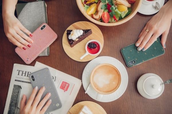 Moshi Vesta, Border, Apple, iPhone XS Max, Rosa