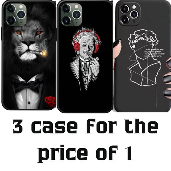 iPhone 12 & 12 Pro 3-PACK etui løve Einstein Statue