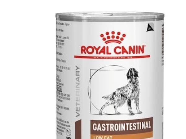 ROYAL CANIN Veterinary Diet Canine Gastrointestinal Low Fat - Vådt hundefoder - 410 g