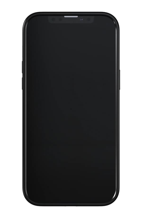 Richmond &amp; Finch iPhone 13 Pro Max Freedom-etui, zebra