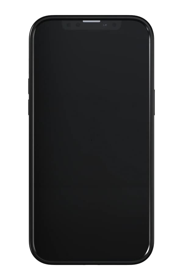 Richmond &amp; Finch iPhone 13 Pro Max Freedom-etui, gylden jungle