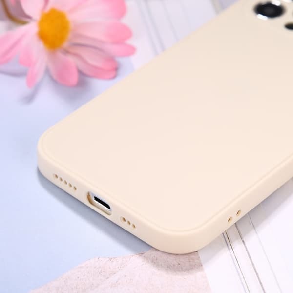 Iphone 12 Pro Max Skal
