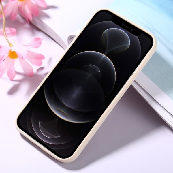 Iphone 12 Pro Max Skal