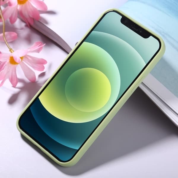 Iphone 12 Pro Max Skal