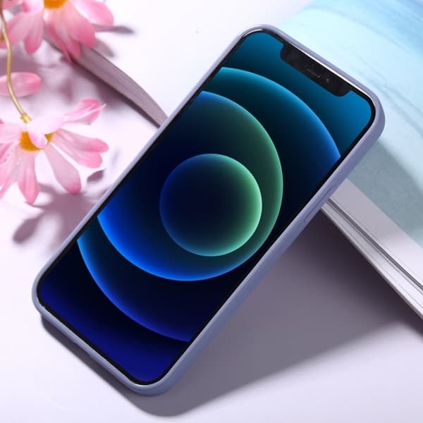 Iphone 12 Pro Max Skal
