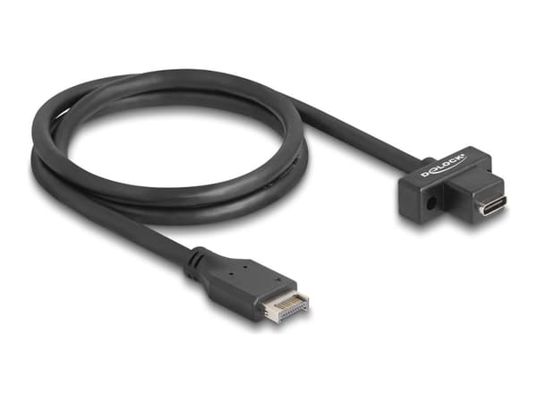 DeLOCK 85776, 0,7 m, 3.2 Gen 2 (3.1 Gen 2), USB Type-E, USB Type-C, 32/28, urosliitin