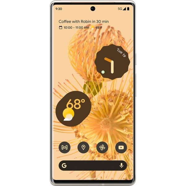 Mobildeksel til Google Pixel 6 Pro med Blå sommerfugler motiv