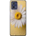 Miniatyrbild 1 av 4: Mobilskal till Motorola Moto G73 med Porslinsblomma motiv