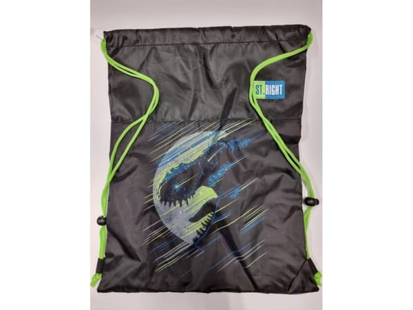 Dinosaur shoe bag