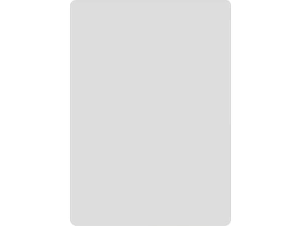Thermal labels Niimbot stickers 50x70 mm - 100 pcs. Silver