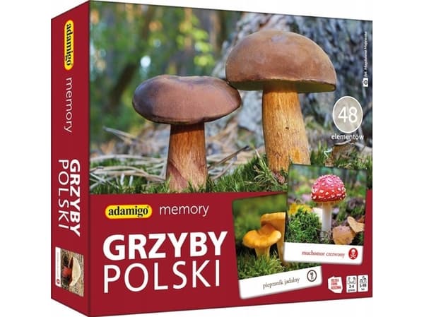 Adamigo Memoryspel - Polska svampar
