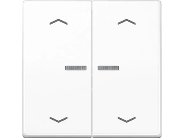 Jung HOME-knapp 2 ganger BTA17102PWW med pilsymboler 1 (BTA17102PWW)