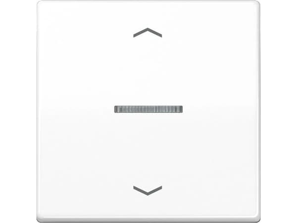 Jung HOME-knapp 1-gang BTA17101PWW med pilsymboler 1 (BTA17101PWW)