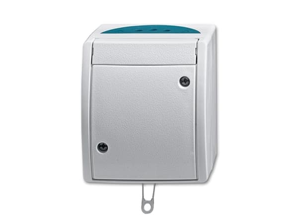 Busch-Jaeger 2CKA001383A0141, Brytare med dragsnöre, Silver, IP44, RoHS CE, 250 V, 74 mm