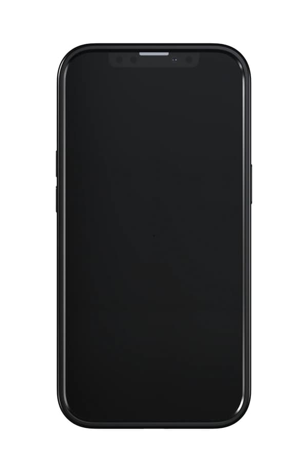 Richmond & Finch iPhone 13 Pro Freedom-etui, svart marmor
