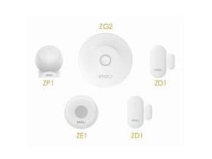 Dahua -