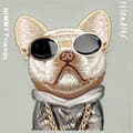 Miniatyrbild 5 av 9: Nimmy iPhone 15 Pro Mobilskal Glasses Cool Dog - Grå