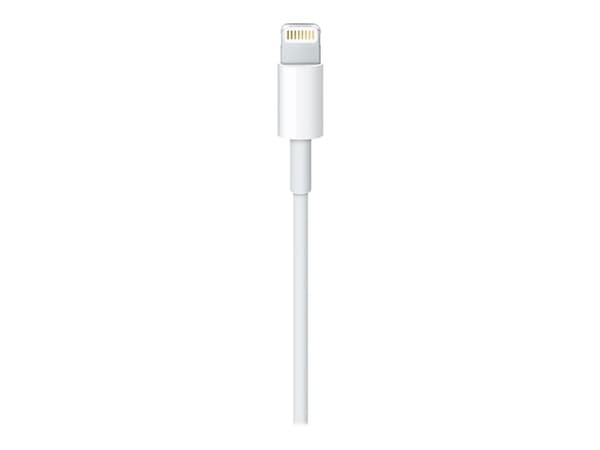 Apple Original Lightning kabel till USB-C 1M MQGJ2ZM/A