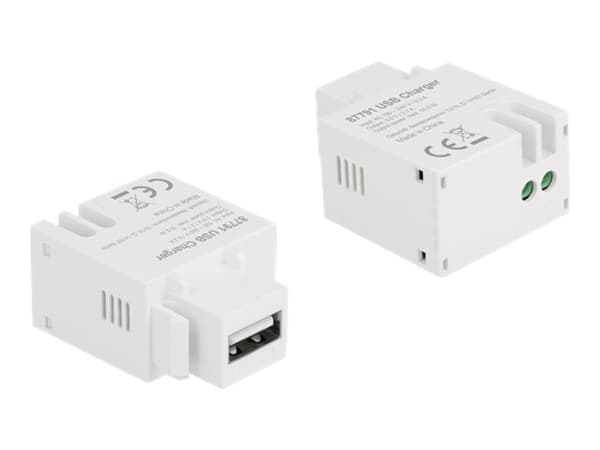 Delock - Strömadapter - 10.5 Watt - 2.1 A (USB) - vit