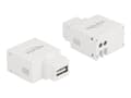 Miniatyrbild 4 av 5: Delock - Strömadapter - 10.5 Watt - 2.1 A (USB) - vit