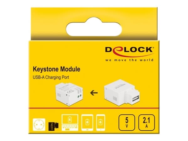 Delock - Strömadapter - 10.5 Watt - 2.1 A (USB) - vit