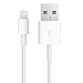 Miniatyrbillede 2 af 3: 1M USB til Lightning-kabel Business Pakke
