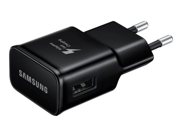 Samsung EP-TA20 Svart innendørs, utendørs