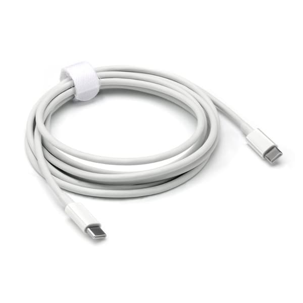 USB-C til USB-C Quick Charge 100W Kabel Hvid 2 meter