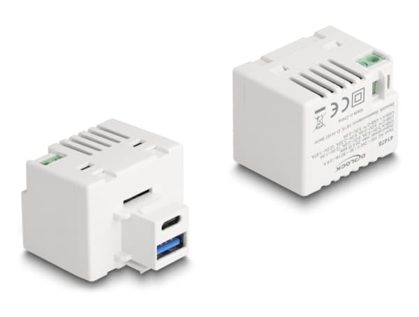 Delock - Strømadapter - 20 watt - 3 A - PD - 2 utgangskontakter (USB-type A, 24 pin USB-C) - hvit