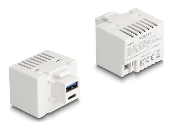 Delock - Strømadapter - 20 watt - 3 A - PD - 2 utgangskontakter (USB-type A, 24 pin USB-C) - hvit