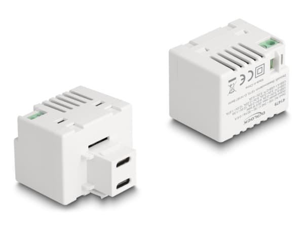 Delock - Strømadapter - 20 watt - 3 A - PD - 2 utgangskontakter (24 pin USB-C) - hvit