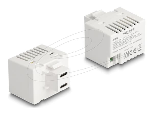 Delock - Strømadapter - 20 watt - 3 A - PD - 2 utgangskontakter (24 pin USB-C) - hvit