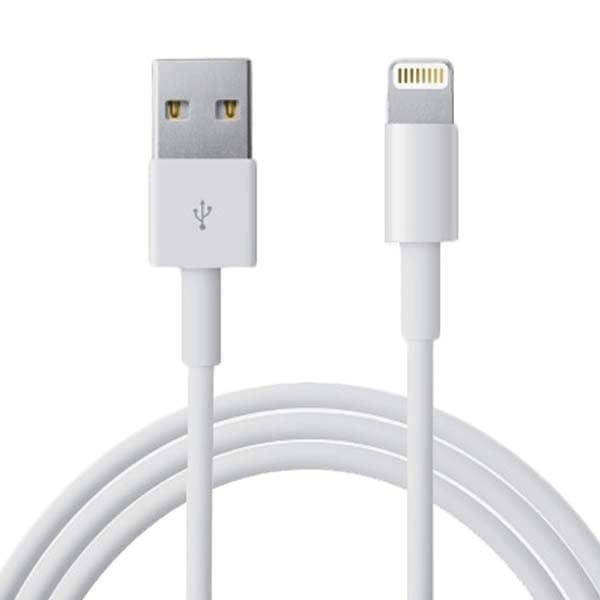 Dual Port Snabbladdare + Lightning -kabel + Hörlur med Lightning -kontakt