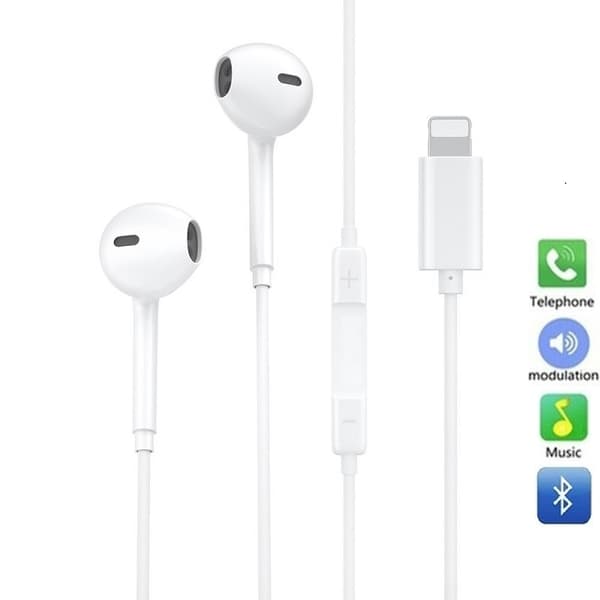 Dual Port Snabbladdare + Lightning -kabel + Hörlur med Lightning -kontakt