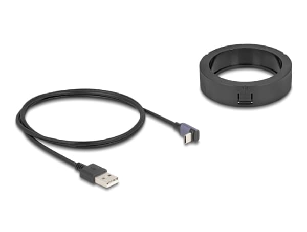 Delock - Trådløs ladepute - for table mounting - 15 watt - 1.25 A - Fast Charge - svart