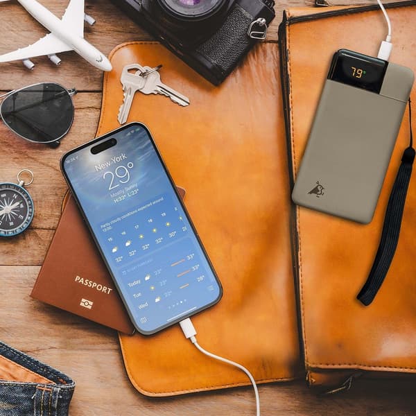 Aqiila Powerbank Powerbird B10 10 000 mAh Moss