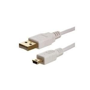 InLine - USB-kabel - mini USB, type B (M) til USB (M) - 1,0 m (USB/USB2.0) - hvid (31810W)