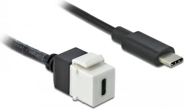 DeLOCK Keystone-modul - USB-kabel - USB-C (W) til USB-C (M) - 25 cm - hvid (86399)