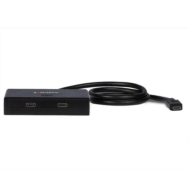 Lindy 2-portars USB 3.2 Gen 1 Typ C-switch - dubbelriktad (43329)