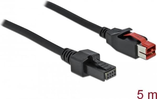 DeLOCK - Strømforsynet USB-kabel - USB PlusPower (24 V) (M) til 2 x 4 pin mini-DIN (M) 5,0 m - sort (85954)
