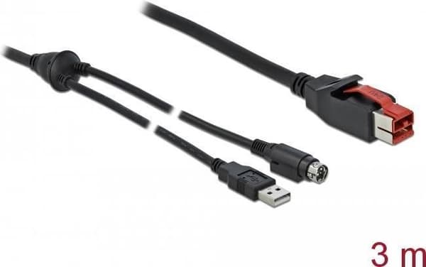 DeLOCK - Strømforsynet USB-kabel - USB PlusPower (24 V) (M) til USB, strøm mini-DIN (M) 3,0 m - sort (85942)