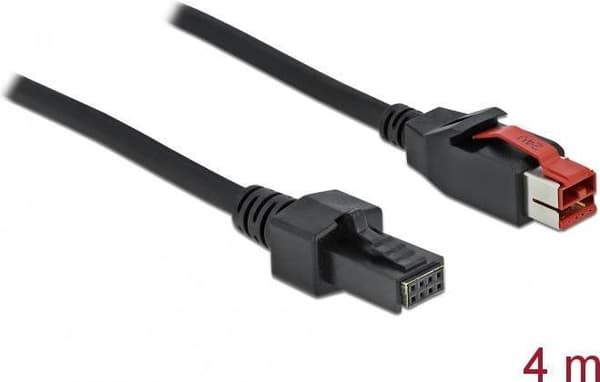 DeLOCK - Strømforsynet USB-kabel - USB PlusPower (24 V) (M) til 2 x 4 pin mini-DIN (M) 4,0 m - sort (85953)