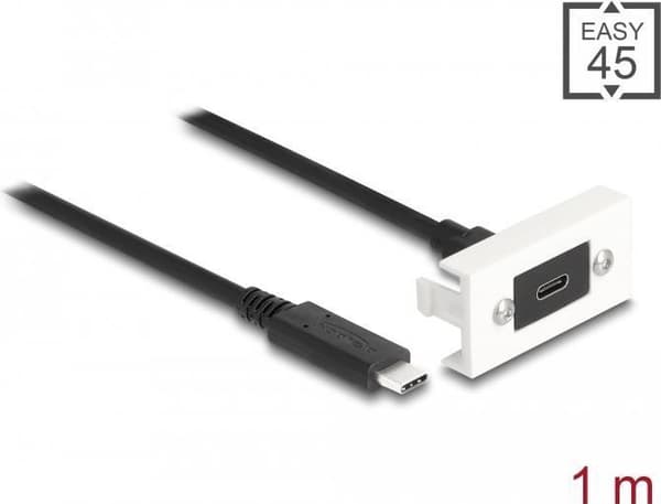 Delock Easy 45 Modul SuperSpeed USB 10 Gbps (USB 3.2 Gen 2) USB Type-C™ hona till USB Type-C™ hane med breakout-kabel, 22,5 x 45 mm (81386)