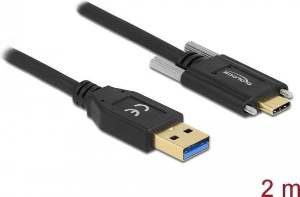 Delock - USB-kabel - USB-C (M) til USB-C (M) - USB 3.2 Gen 1 - 3 A - 2,0 m - fingerskruer - sort (84019)