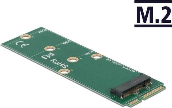 DeLOCK - Interface adapter - M.2 - M.2 kort - mSATA (64109)